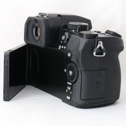 Panasonic Mirrorless Interchangeable Lips 221 G99 Ii Limix G99M2 Dc-G99M2 #4923