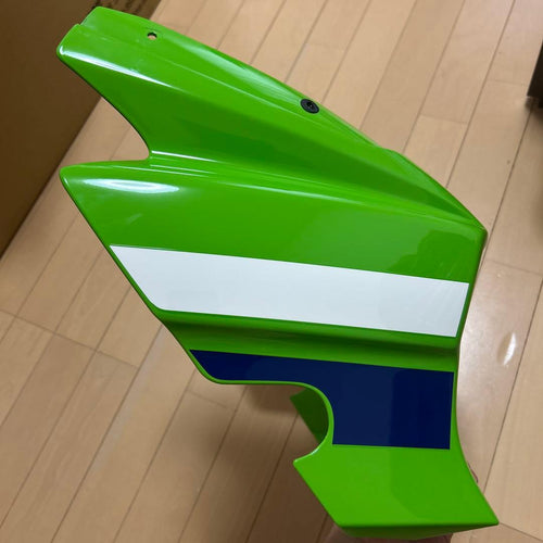 Kawasaki Cowl Fender Zrx1200Daeg