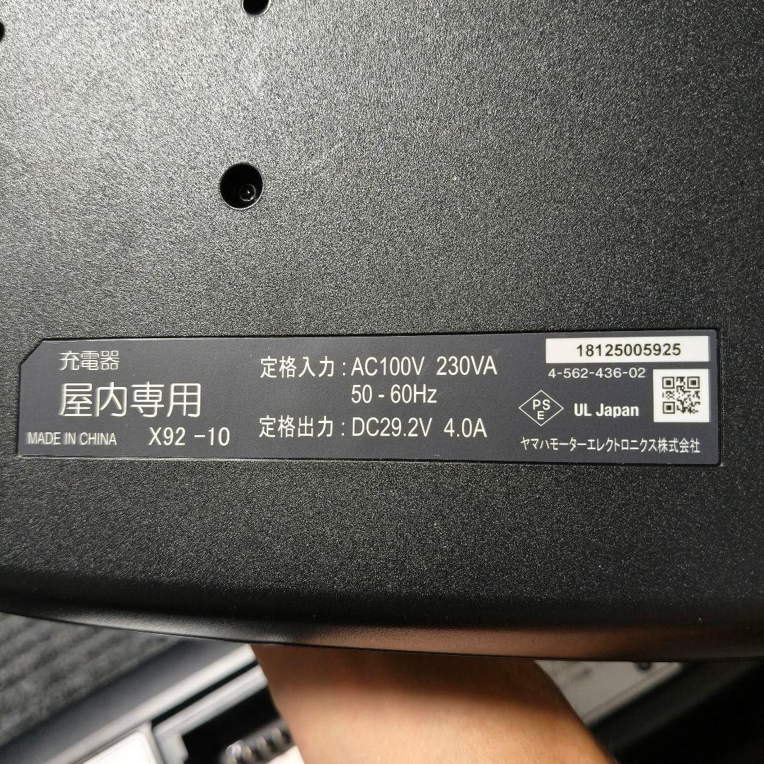 Yamaha Chargers X92-10 8