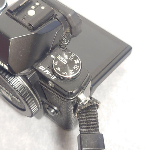 Mirrorless Interchangeable Lips Olympus Om-D E-M10