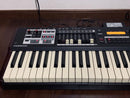 Hammond Organ Others Sk 1 61