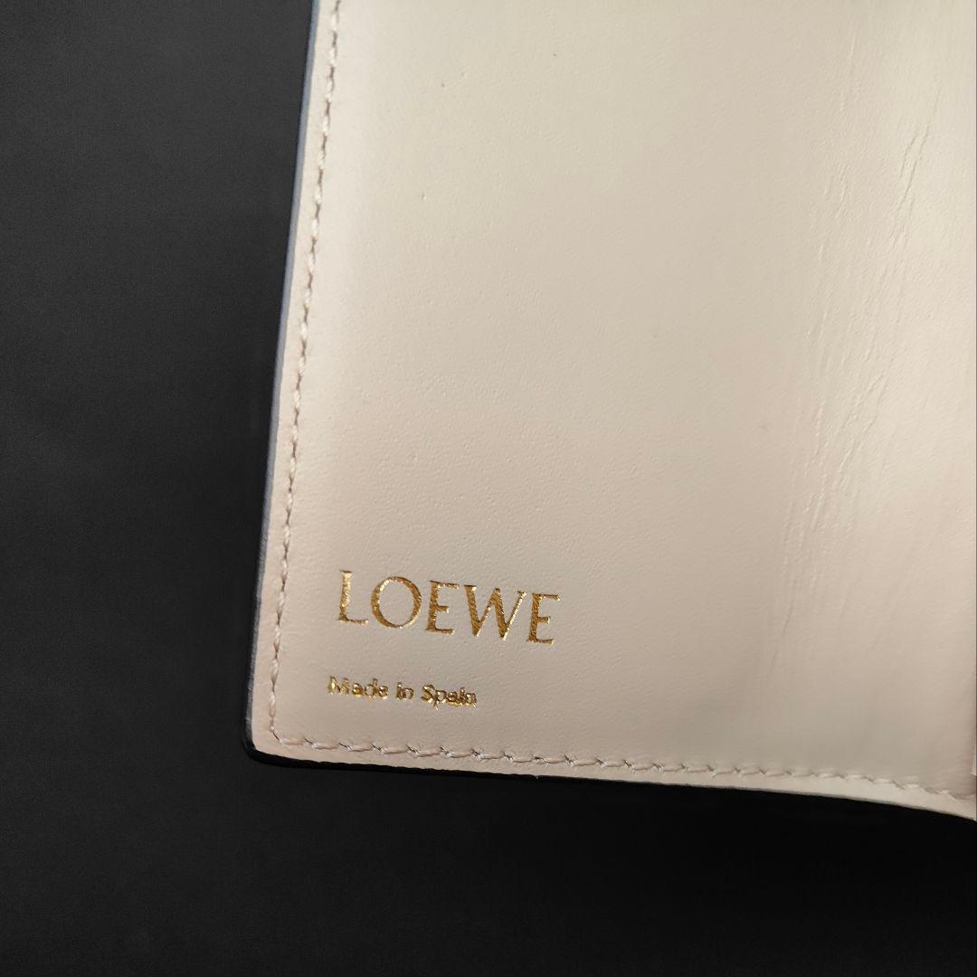 Loewe Key Cases