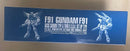 Premium Bandai Mg (Master Grade) 1/100 F91 Ver.2.0