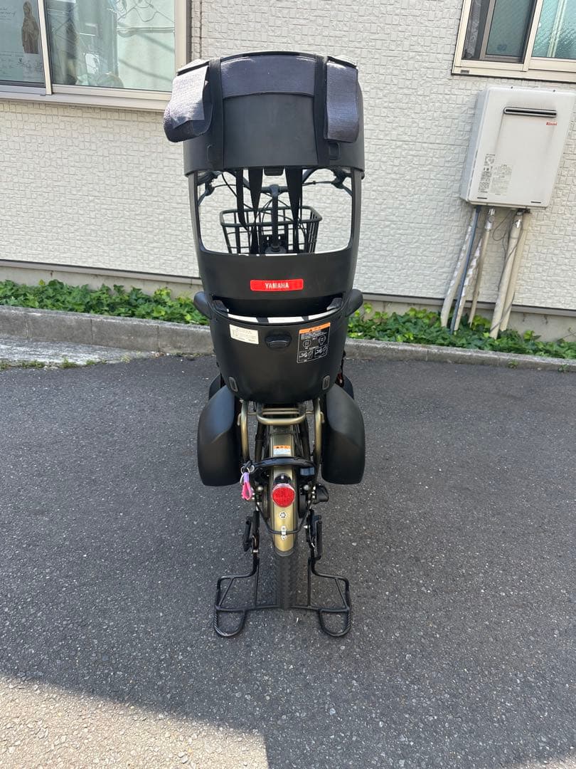 Yamaha Bicycles With Child Seats 2021