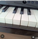 Korg Keyboards Digital Pianos Tinypiano