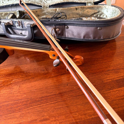 Yamaha Violins Sv-100