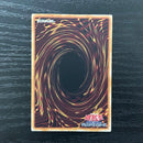 Yu -Gi -Oh! Ocg Duel Monsters G 25Th