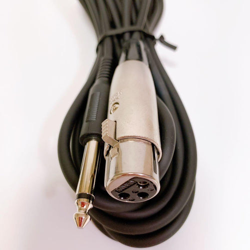 Roland Dynamic Microphone