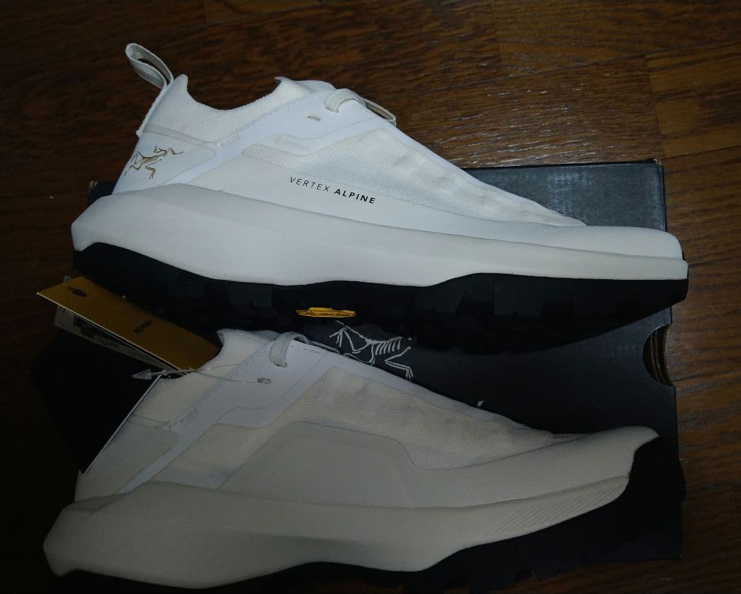 Arc'Teryx Approach Shoes Vertex Alpine Gtx Arctic Silk Dk