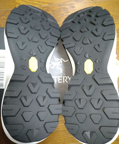 Arc'Teryx Approach Shoes Vertex Alpine Gtx Arctic Silk Dk
