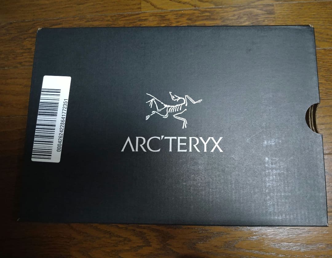 Arc'Teryx Approach Shoes Vertex Alpine Gtx Arctic Silk Dk