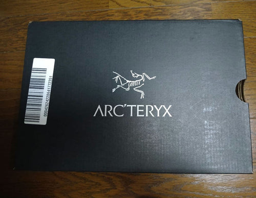 Arc'Teryx Approach Shoes Vertex Alpine Gtx Arctic Silk Dk
