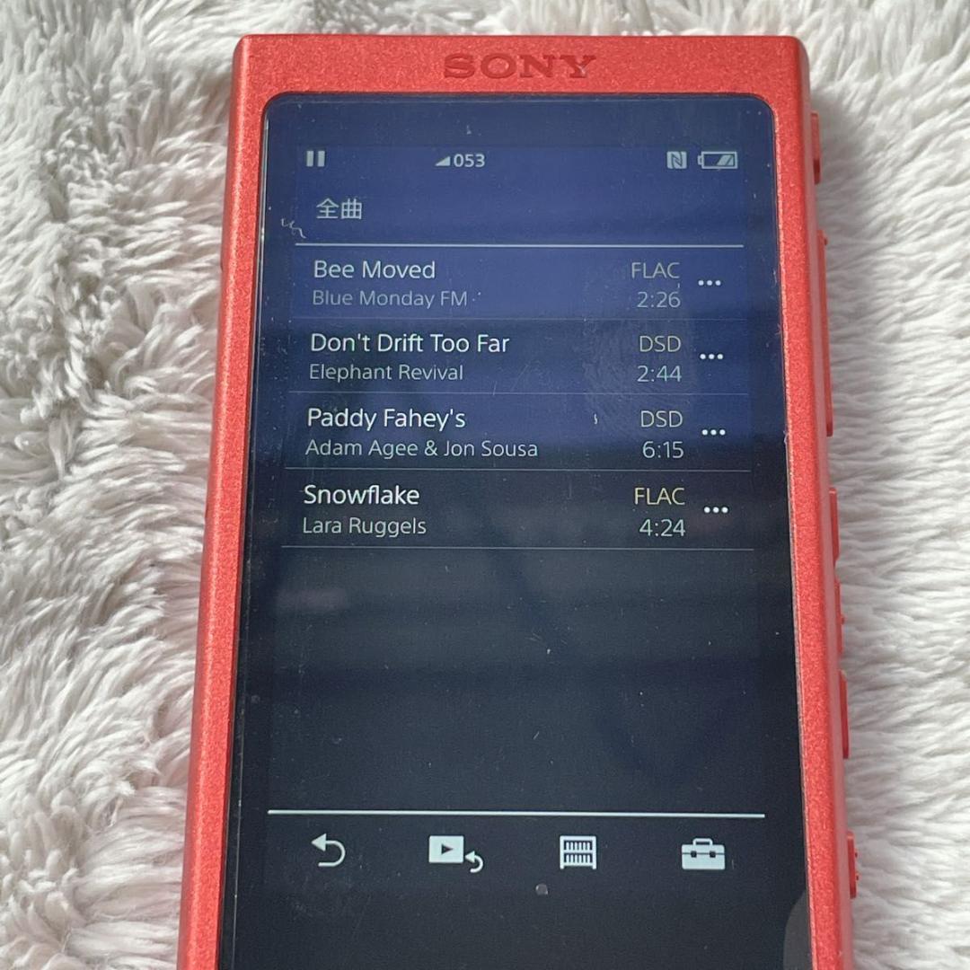 Sony Digital Audio Player Nw-A35