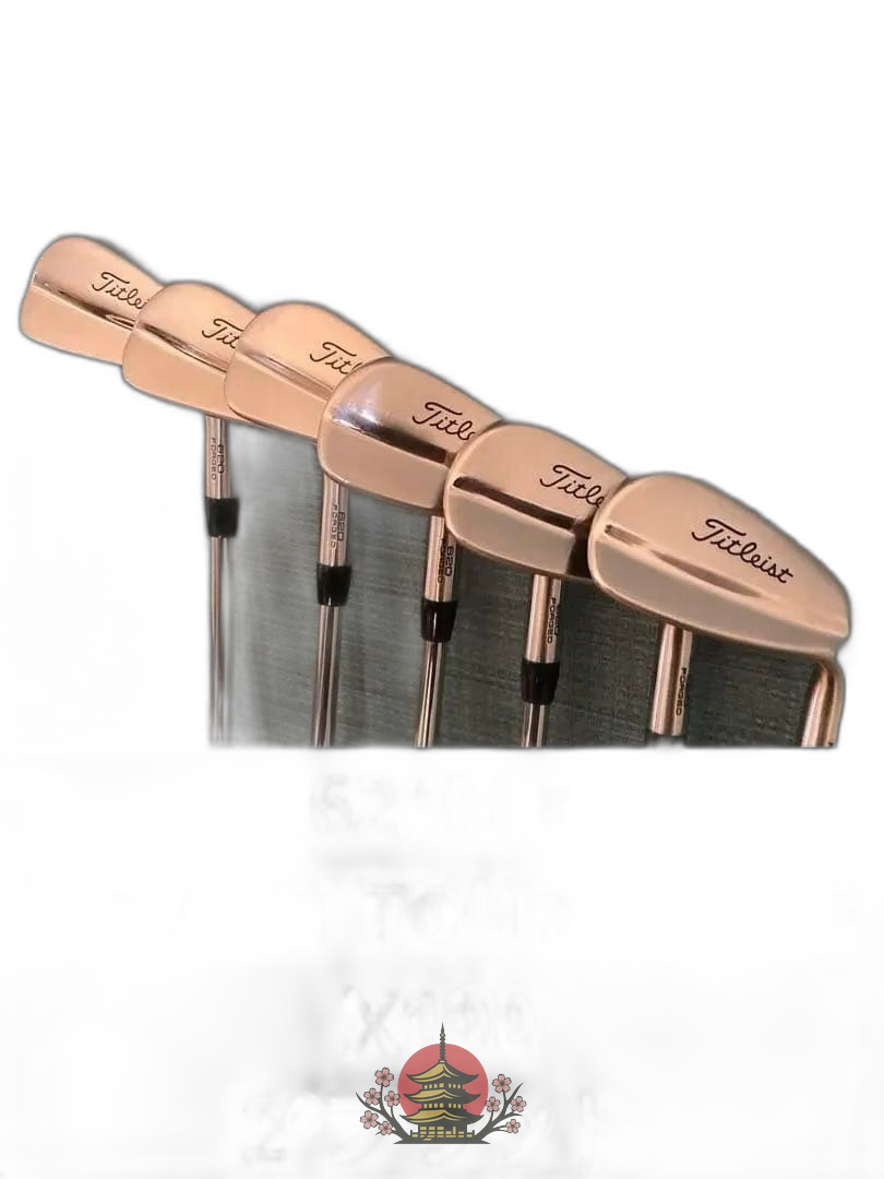 Titleist Iron Set Mb 620 5-P 6 Dg