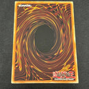 Yu -Gi -Oh! Ocg Duel Monsters Ap01-En002