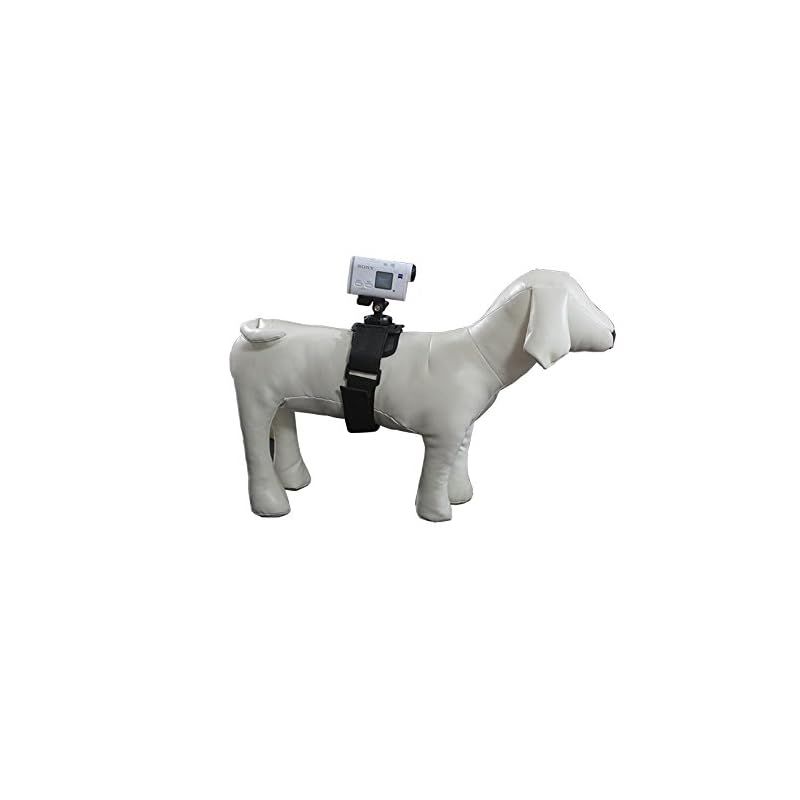 Surveillance Camera Rec-Mounts 2 Rotary Multi Mount For
