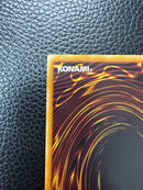 Yu -Gi -Oh! Ocg Duel Monsters 306-025