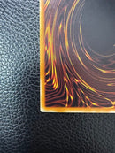 Yu -Gi -Oh! Ocg Duel Monsters 306-025