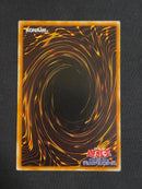 Yu -Gi -Oh! Ocg Duel Monsters