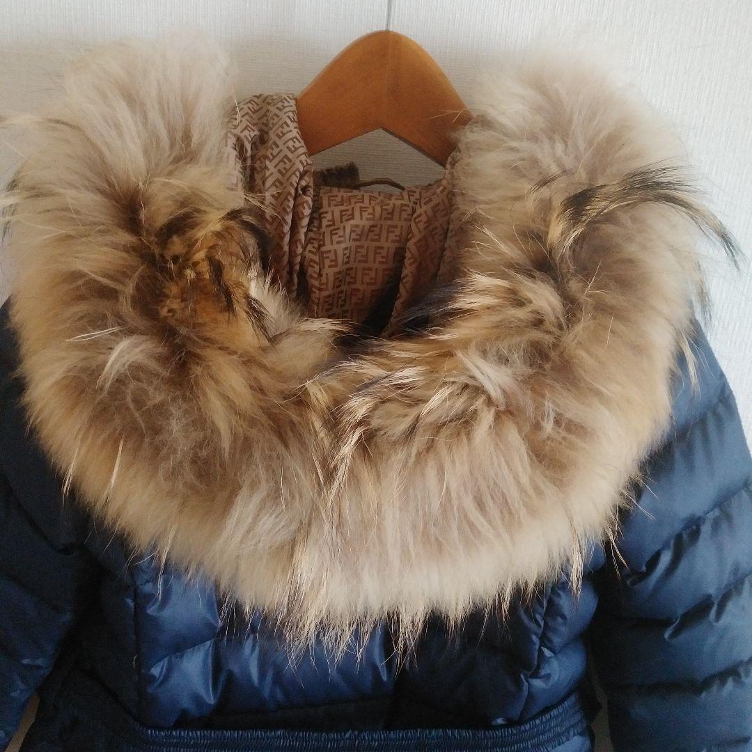 Fendi Down Coats Puffer 6A110-120