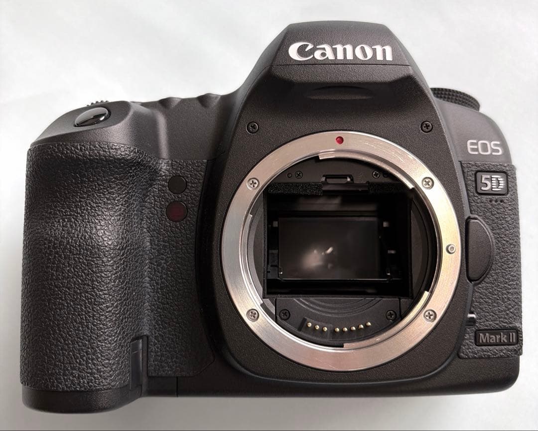 Canon Slrs Digital 5D Mark 2 Ef 24-105Mm F4L Es Usm