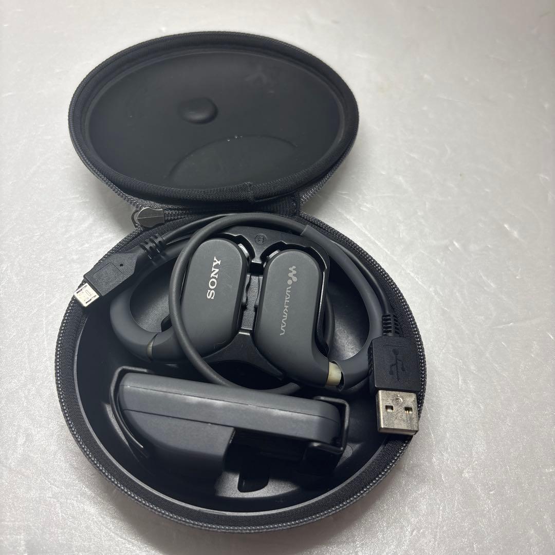 Sony Digital Audio Player Nw-Ws413