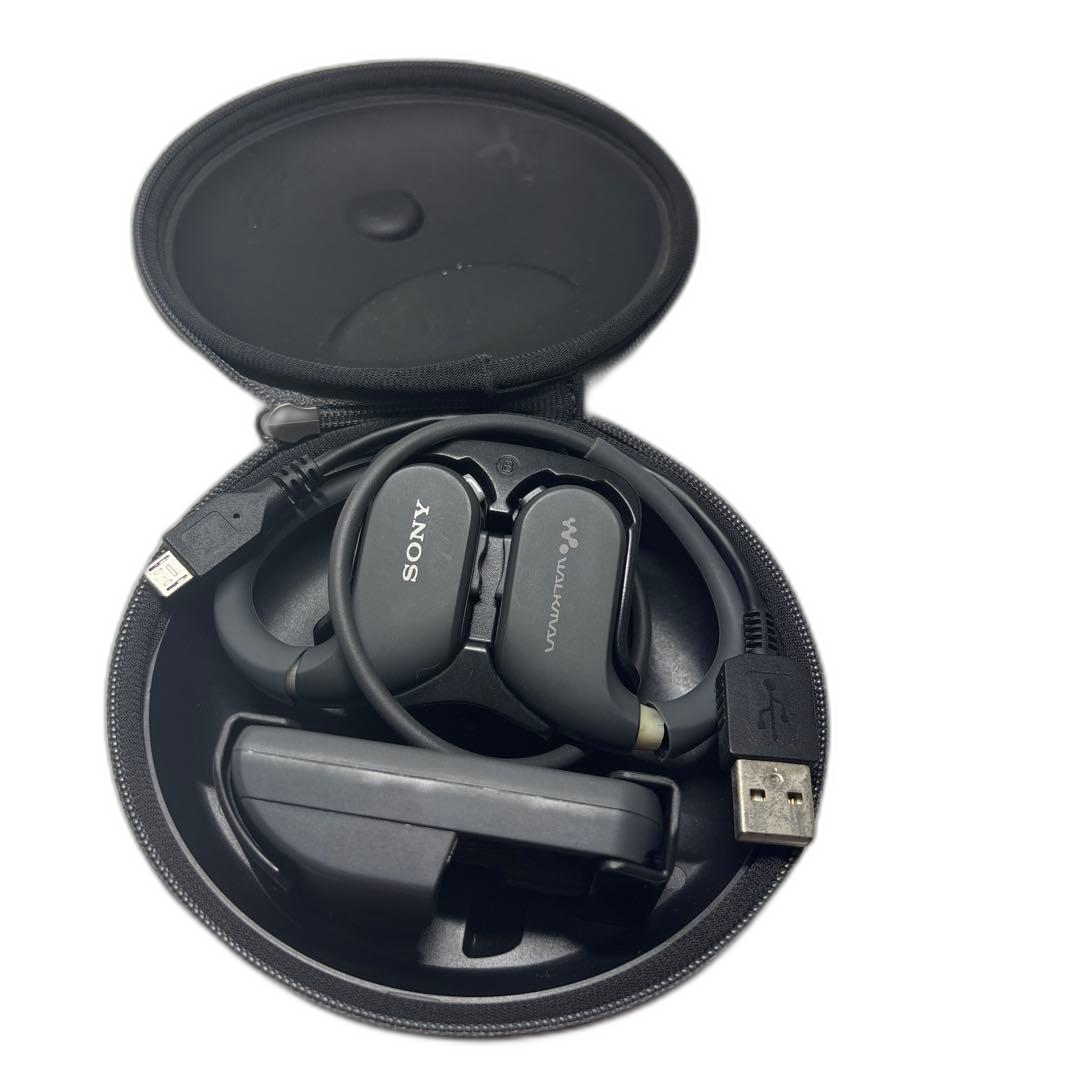 Sony Digital Audio Player Nw-Ws413