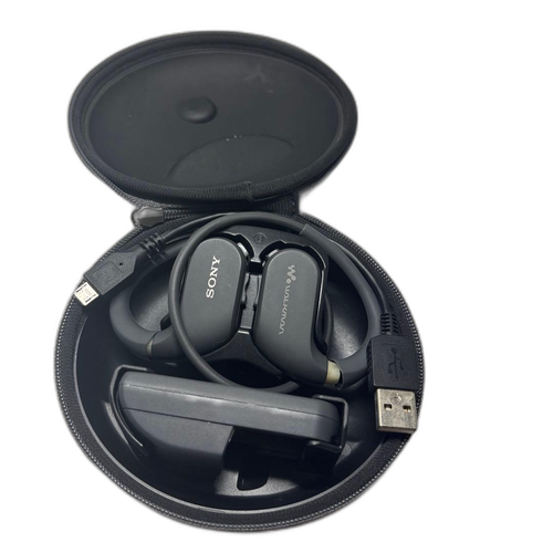 Sony Digital Audio Player Nw-Ws413