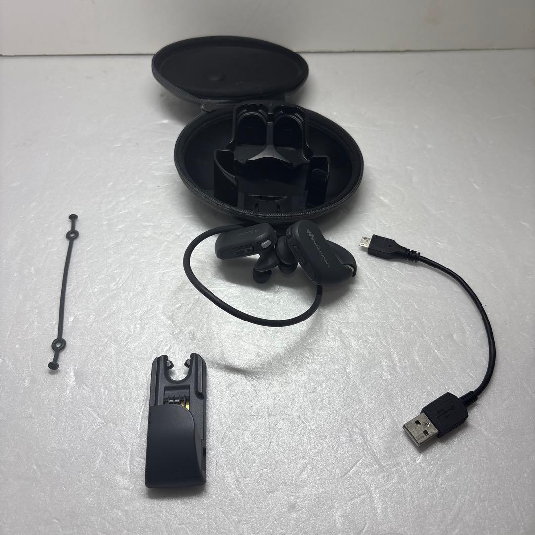 Sony Digital Audio Player Nw-Ws413
