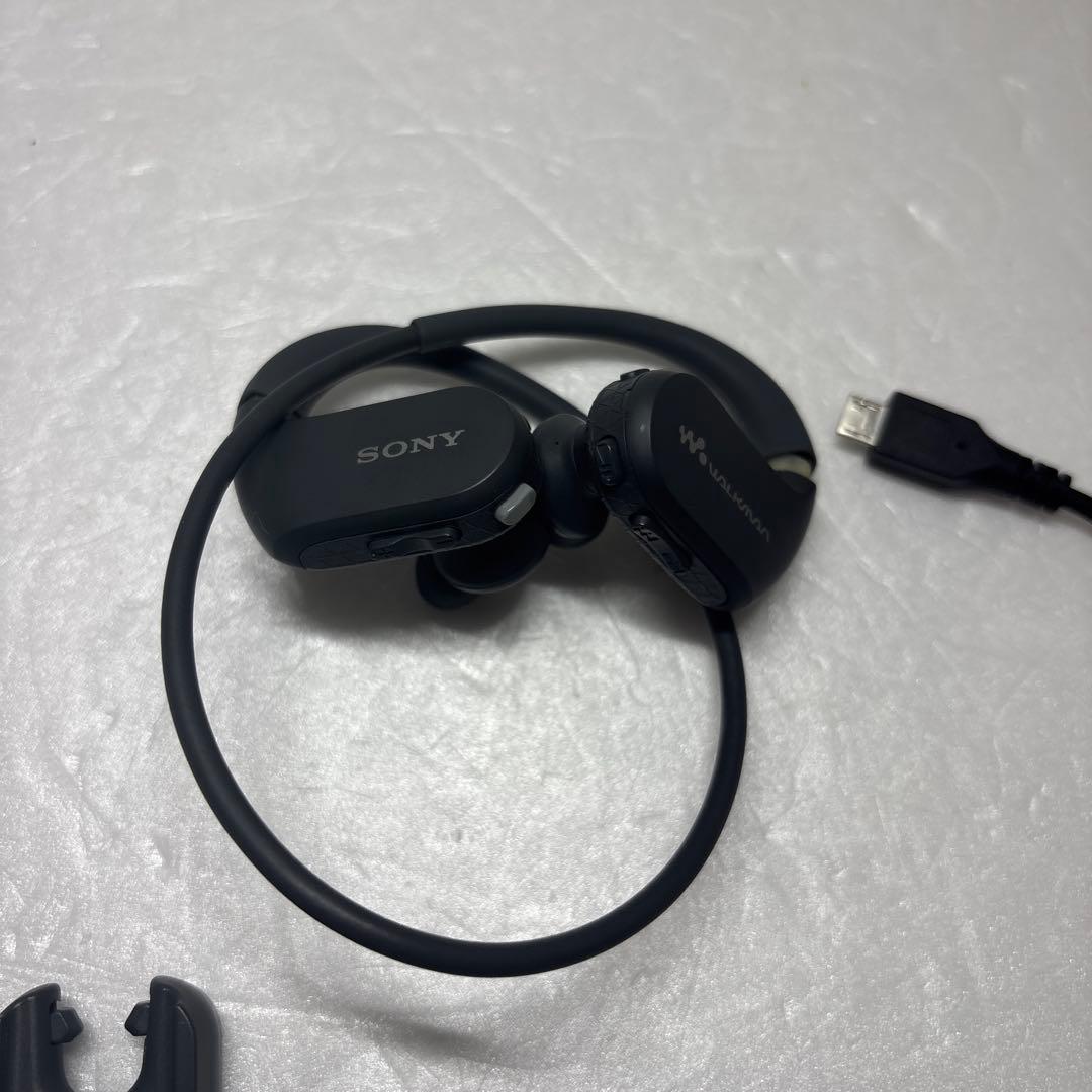 Sony Digital Audio Player Nw-Ws413