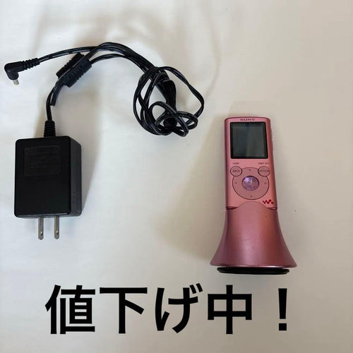 Sony Digital Audio Player Walkman Nw-E052