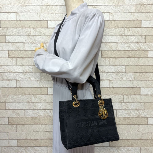 Christian Dior Shoulder Bag D-Lite