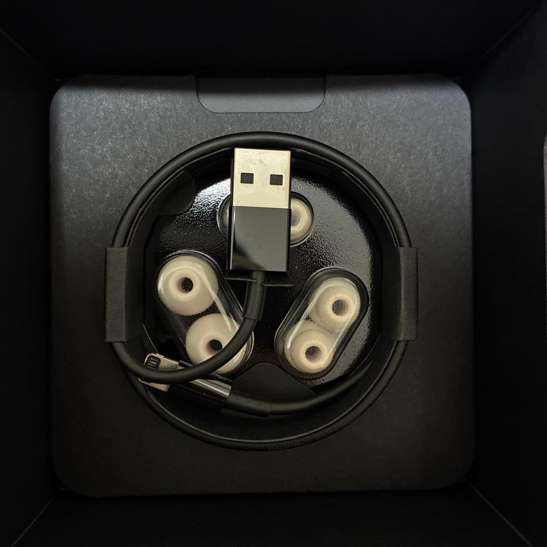 Beets Wireless Earphone Powerbeats Pro Mv722Pa/A