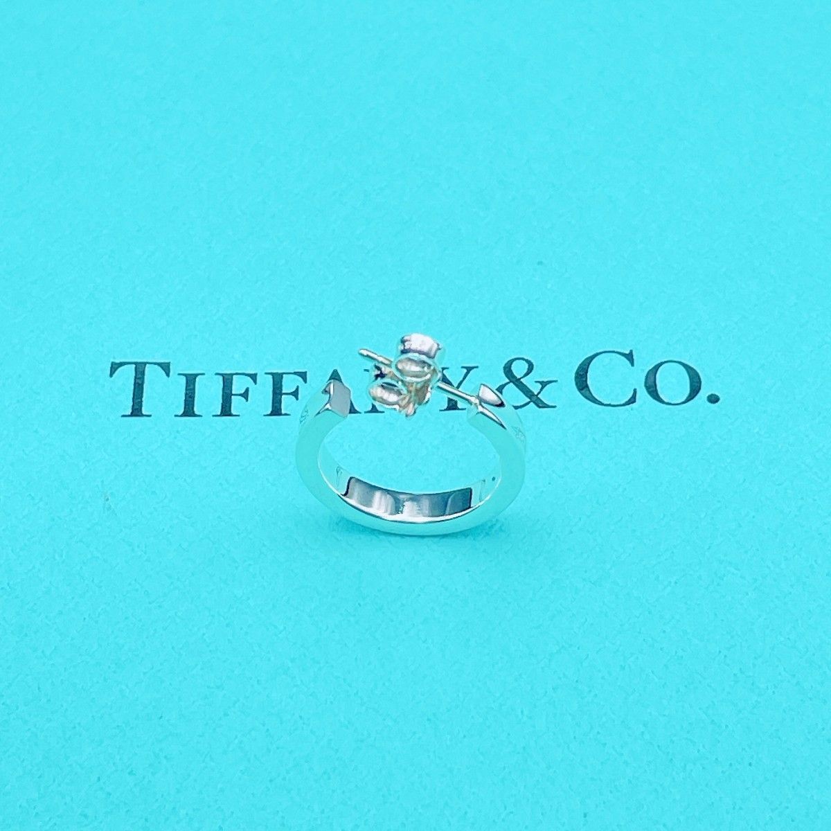 Tiffany Earrings (For One Ear) Tiffany&Co. 1837 Ag925 2.21G