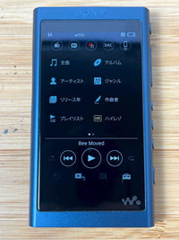 Digital Audio Player Sony Walkman Nw-A55 16Gb Bluetooth