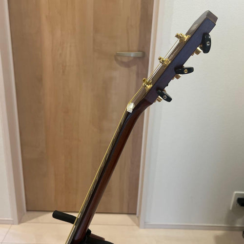 Yamaha Acoustic Guitars Apx1200