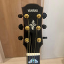 Yamaha Acoustic Guitars Apx1200
