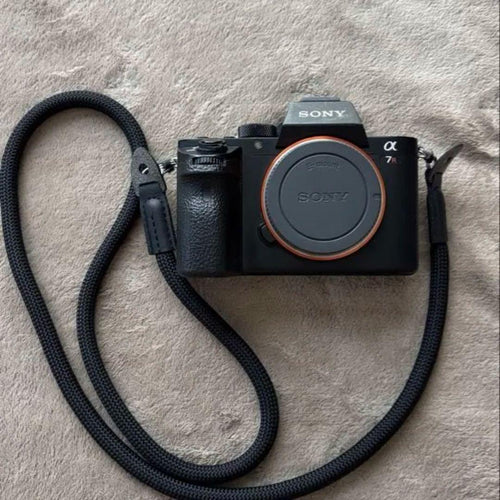 Sony Mirrorless Interchangeable Lens Cameras 7Rii 3