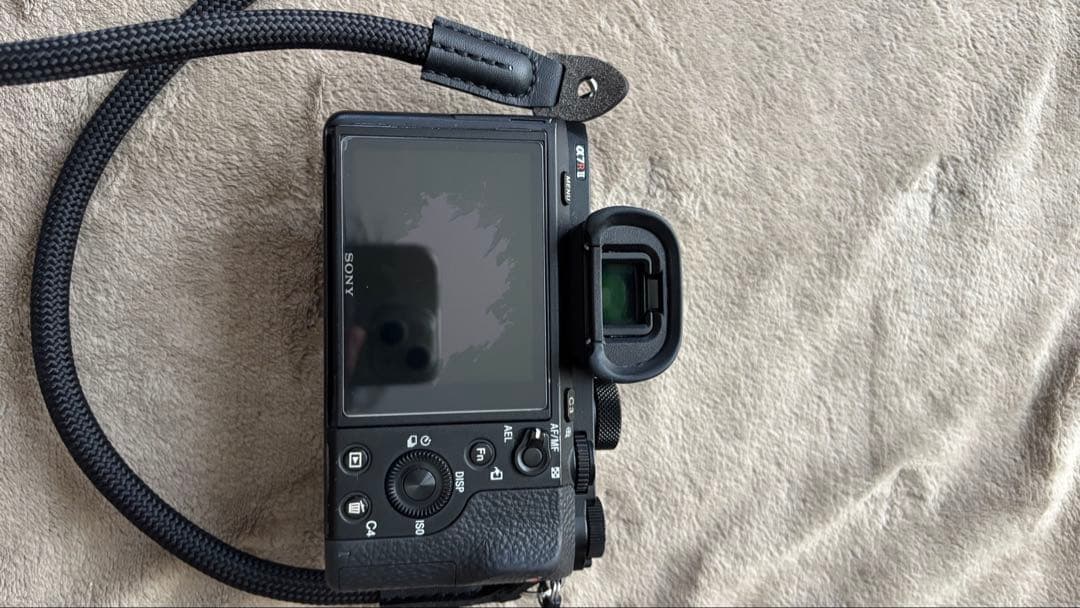 Sony Mirrorless Interchangeable Lens Cameras 7Rii 3