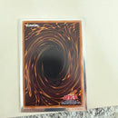Yu-Gi-Oh! Ocg Duel Monsters (Japanese)