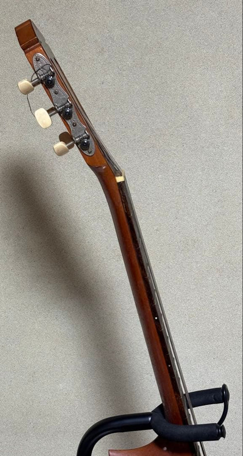 Classical Guitars Yamaha G-100D