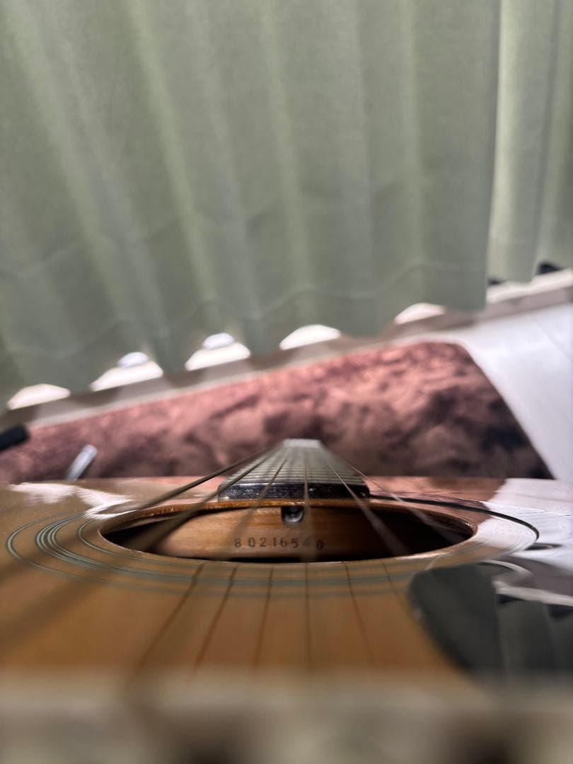 Yamaha Acoustic Guitars Fg-412