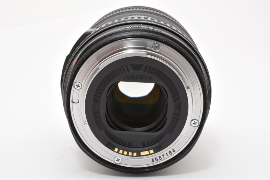 Canon Prime Lenses Ef 24-105Mm F4L Is Usm