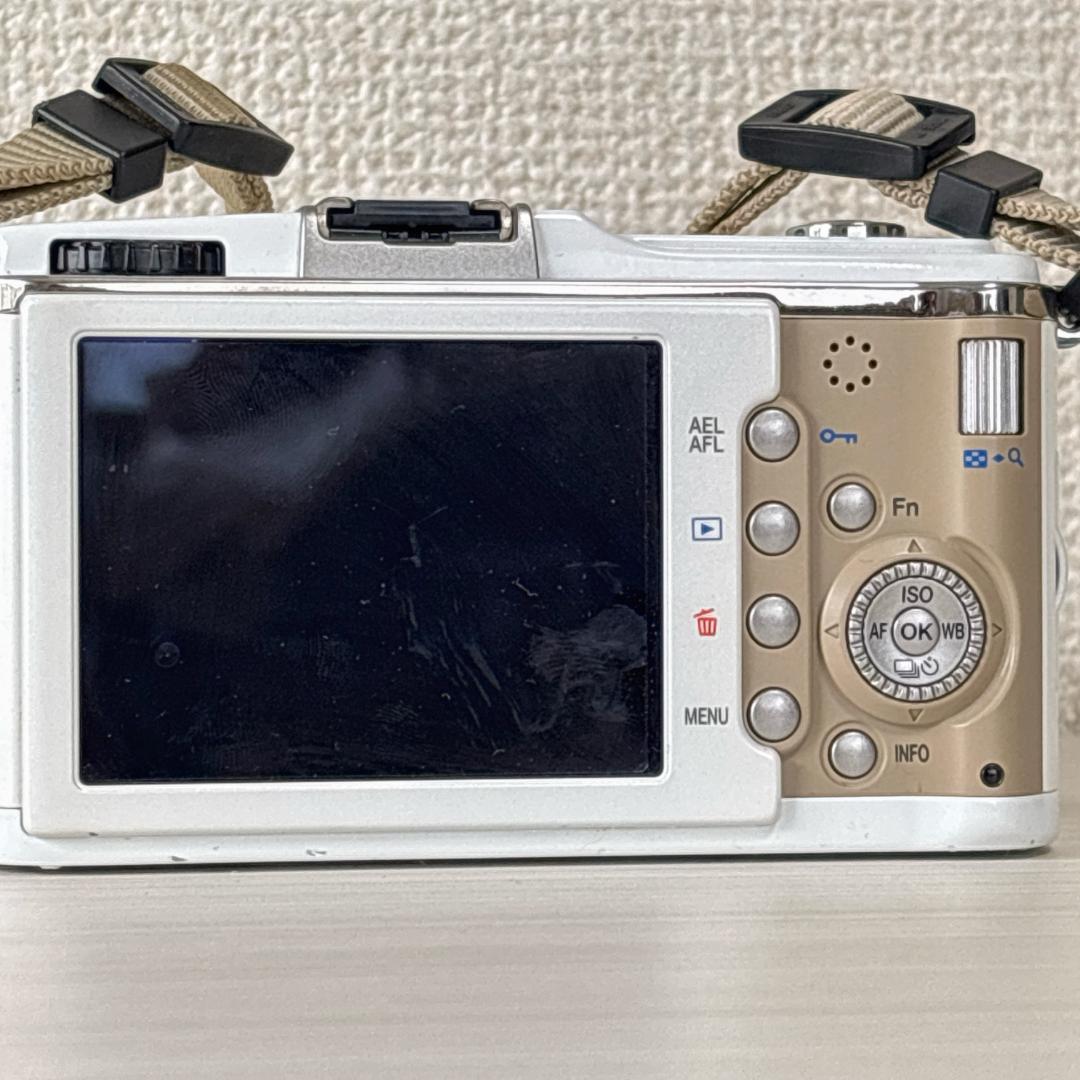 Olympus Mirrorless Interchangeable Lens Cameras E-P1