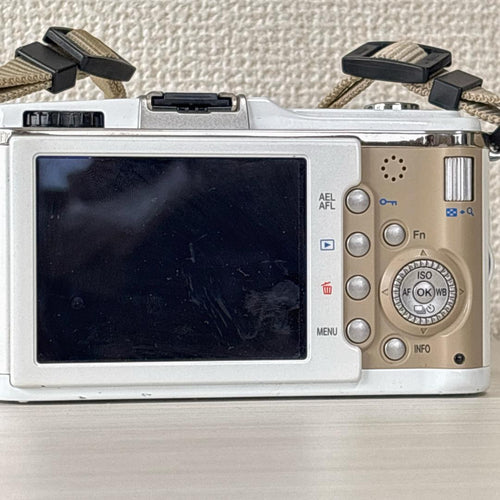 Olympus Mirrorless Interchangeable Lens Cameras E-P1