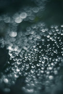 Leica Prime Lenses Summar F2