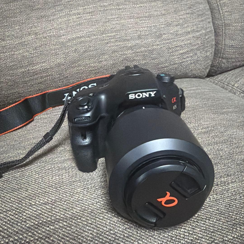 Sony Digital Slr 65
