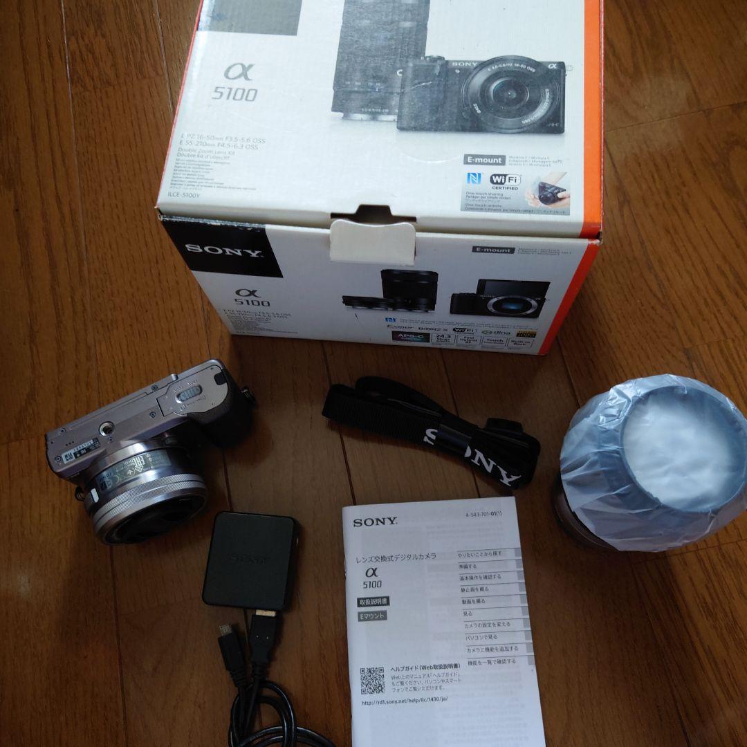 Sony Mirrorless Interchangeable Lens Cameras 5100