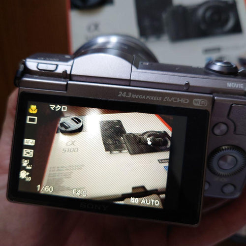 Sony Mirrorless Interchangeable Lens Cameras 5100