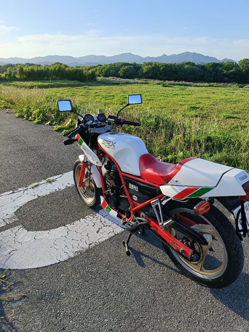 Yamaha Motorcycle Frames Srx250F 51Y Ysp
